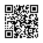 1051029-0381 QRCode