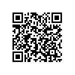 1111J1K02P40HQT QRCode