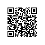 1111J1K0P300DQT QRCode