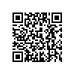 1111J2004P30BQT QRCode