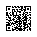 1111J2500161GQT QRCode