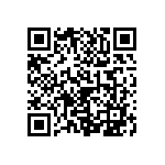 1111J2500331GQT QRCode