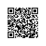 1111J2K0P500BQT QRCode