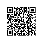 1111J300P900DQT QRCode