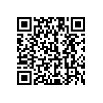 1111Y1500300KQT QRCode