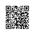 1111Y1K00130GQT QRCode