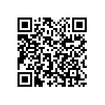 1111Y1K02P20BQT QRCode