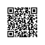 1111Y2501P00DQT QRCode