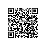 1111Y2501P90BQT QRCode