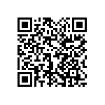 1111Y2505P60DQT QRCode