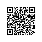 1111Y250P300BQT QRCode