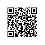 1111Y2K01P10BQT QRCode