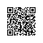 1111Y2K01P10HQT QRCode