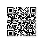 1111Y2K02P70DQT QRCode