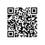 1111Y3000430KQT QRCode