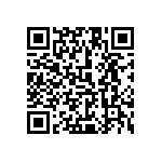 1111Y300P300BQT QRCode