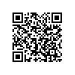 1111Y6302P70BQT QRCode