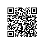 1111Y6305P10HQT QRCode