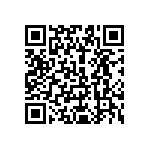 1206Y0250181MXR QRCode