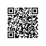 1206Y0630130KQT QRCode