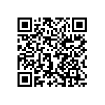 1206Y3005P60BQT QRCode