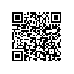 1210J0250105MXT QRCode