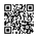 130054 QRCode