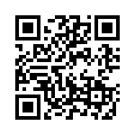 130534 QRCode