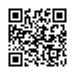 1313746-1 QRCode