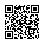 132102 QRCode