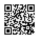 132113RPRT QRCode