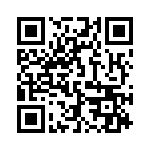 132117 QRCode