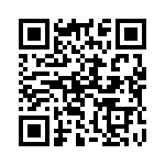 132194 QRCode