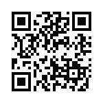 132284RP QRCode