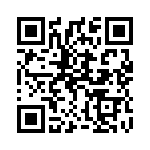 1404234 QRCode