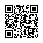 14111213002000 QRCode