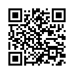 163X10039X QRCode