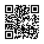 1641-333H QRCode