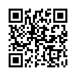 1675311 QRCode