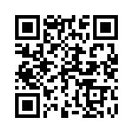 1691132300 QRCode