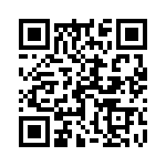 17011541601 QRCode