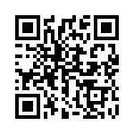 1701333 QRCode