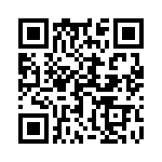 17021754206 QRCode