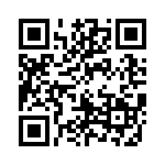 171334K160G-F QRCode