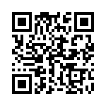 17241104102 QRCode