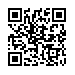 1728206 QRCode