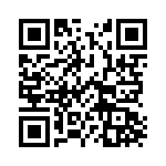 17333C QRCode