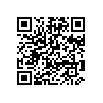 178-025-613R451 QRCode