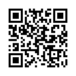 178-4250-0002 QRCode