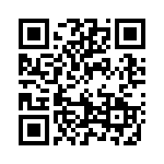 19041353 QRCode